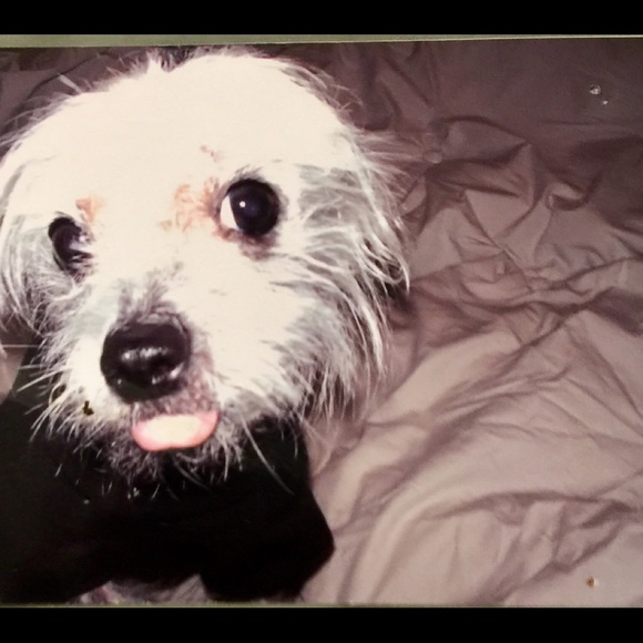 Meet your Posher, JDub - Picture 1 of 6